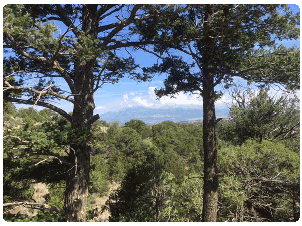 Colorado mountain view
