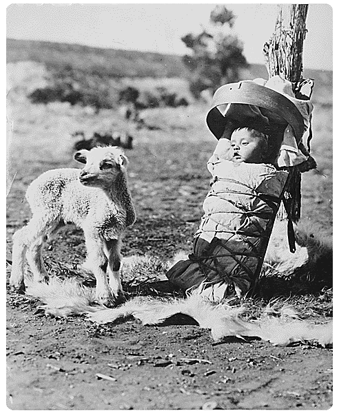 Lamb and native child in cradleboard